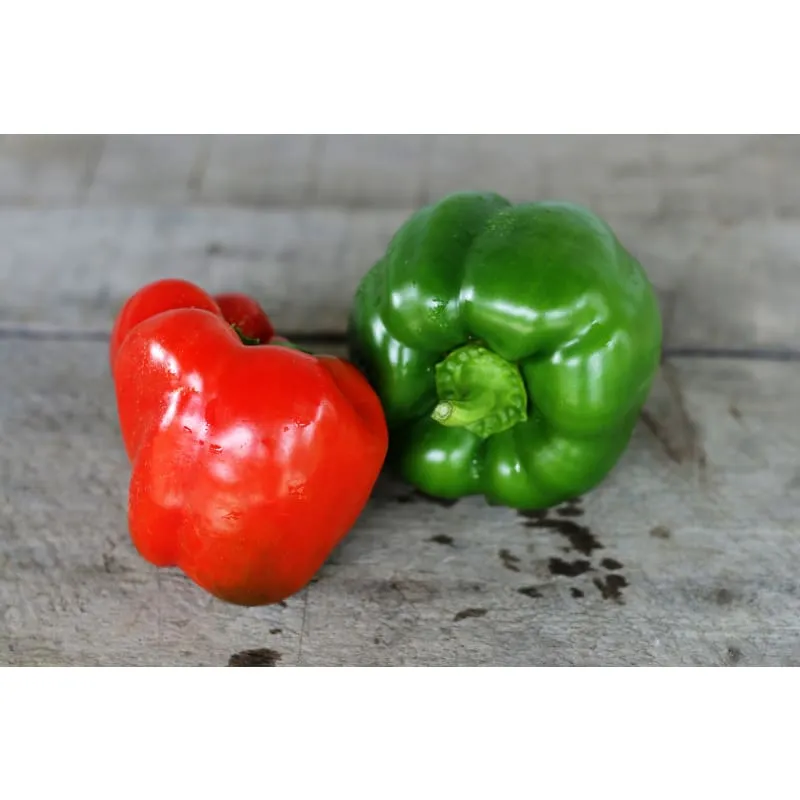 California Wonder Pepper (75 Days)
