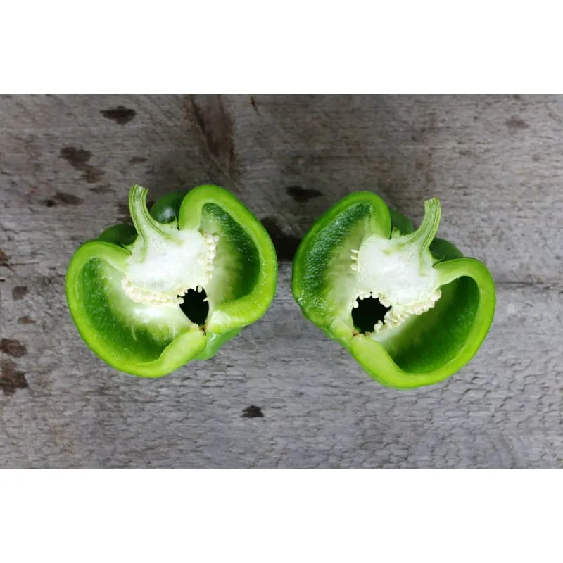 California Wonder Pepper (75 Days)