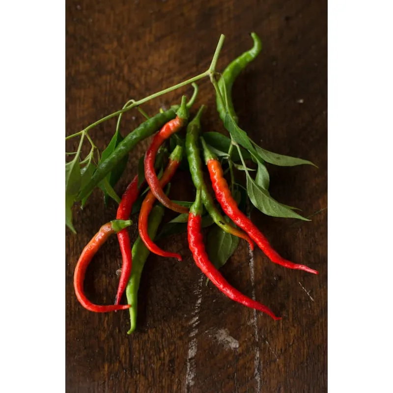 Cayenne-Long Pepper (Heirloom 70 Days)