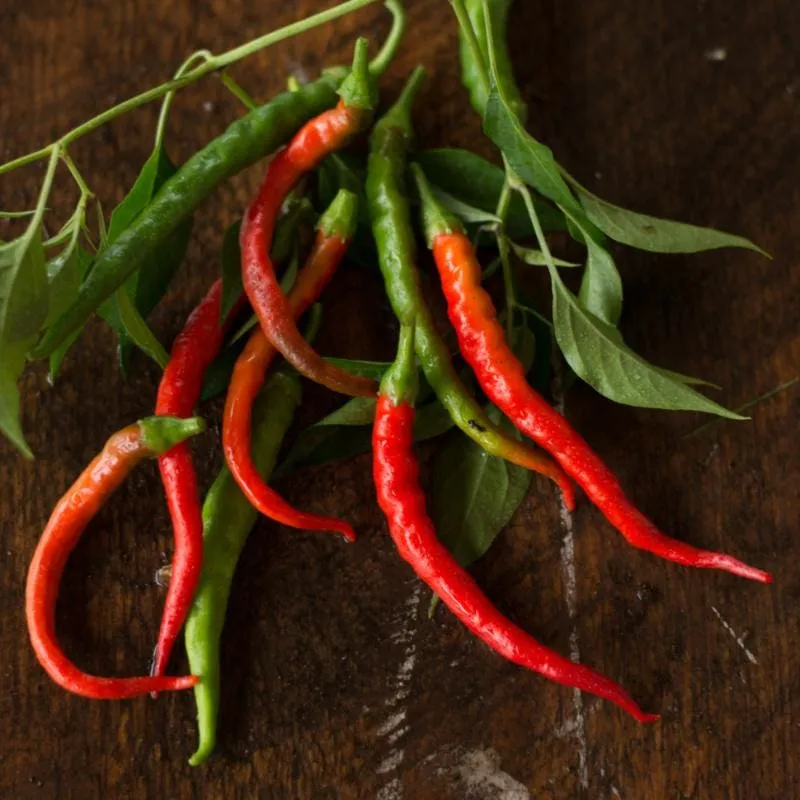 Cayenne-Long Pepper (Heirloom 70 Days)
