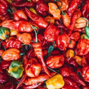 Pinetree Hot Pepper Mix (66-90 Days)