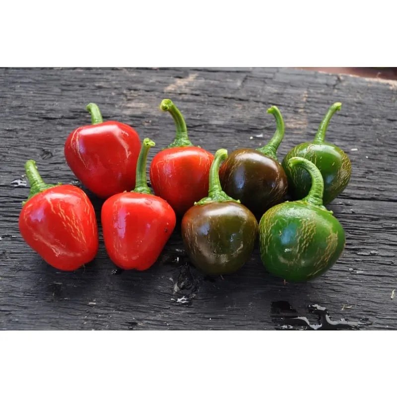 Sweet Red Cherry Pepper (75 Days)