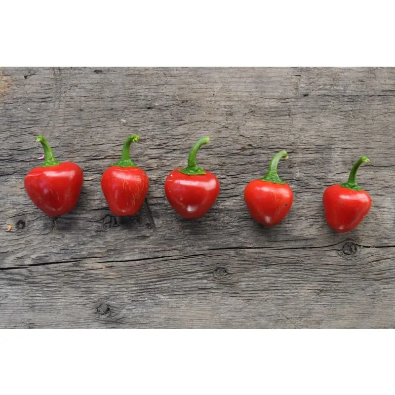 Sweet Red Cherry Pepper (75 Days)