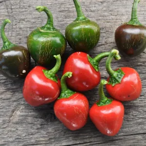 Sweet Red Cherry Pepper (75 Days)