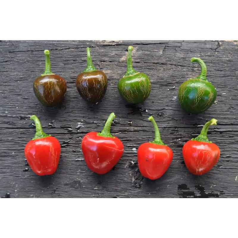 Sweet Red Cherry Pepper (75 Days)
