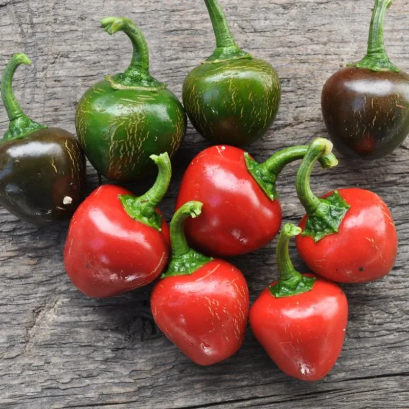 Sweet Red Cherry Pepper (75 Days)